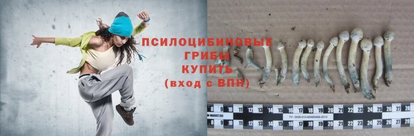 дмт Белокуриха