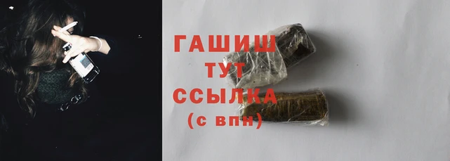дмт Белокуриха