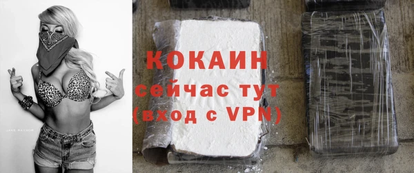 дмт Белокуриха