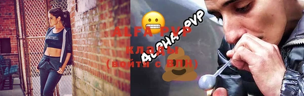 дмт Белокуриха